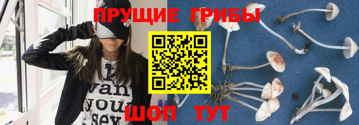 Ревда  Псилоцибиновые грибы ЛСД  Вход с VPN 