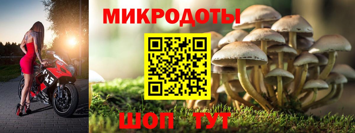 Псилоцибиновые грибы Psilocybine cubensis Ревда
